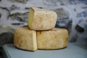 Käse, Milch, und Milchprodukte teilen mit uns nun auch schon einige Tausend Jahre Koevultion und sind eine gute Wahl für die, die es vertragen.