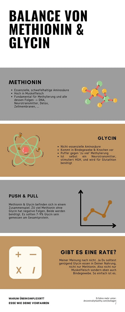 Das ist meine Infografik zur Methionin zu Glycin Balance. Diese beiden Aminosäuren sollten ausgewogen in jeder Ernährung vorkommen.