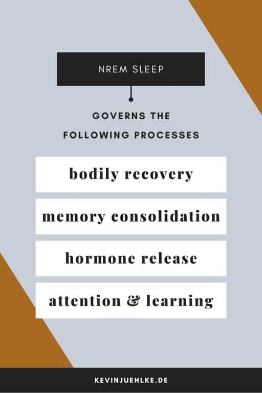 Diese Grafik zeigt die Aufgaben und Vorteile von NREM Schlaf, die es jede Nacht erfüllt.