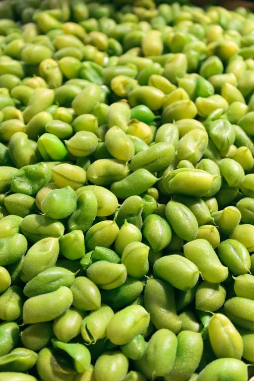 Soybeans are not meant for human consumption and contain so many pollutants.