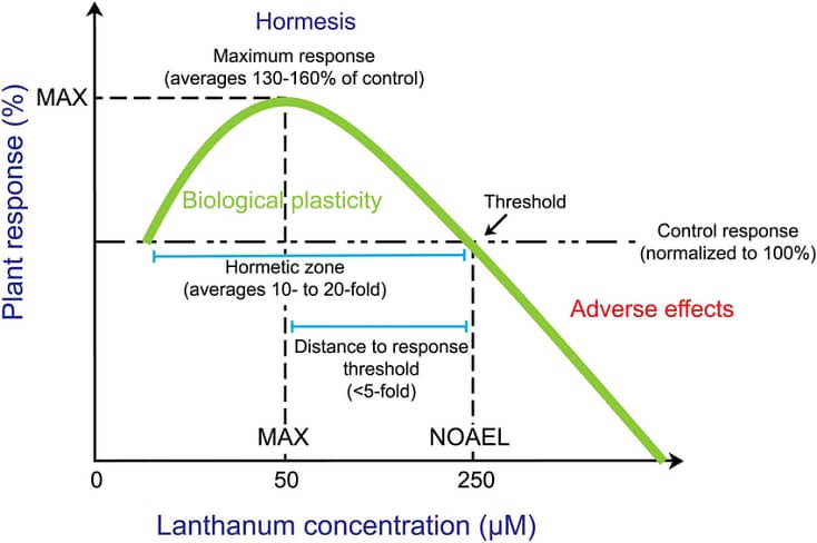 Schematic model of a representative idealized biphasic dose response hormetic curve for