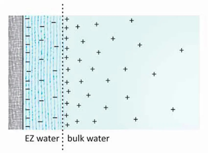 Diagrammatic representation of EZ water negatively charged and the positively charged